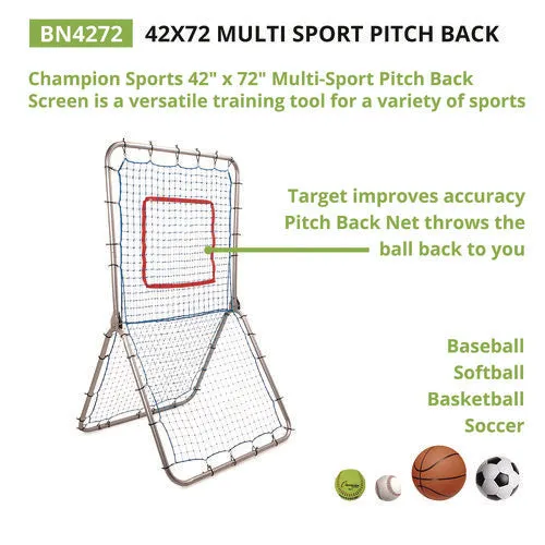 Champion Sports Multi-sport Pitch Back Screen 72"x42" 1.25" Dia Frame